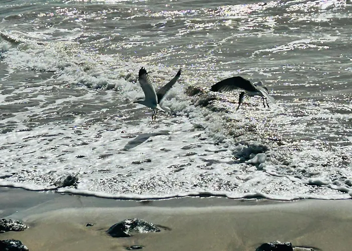 -montorian View Lanzarote- *