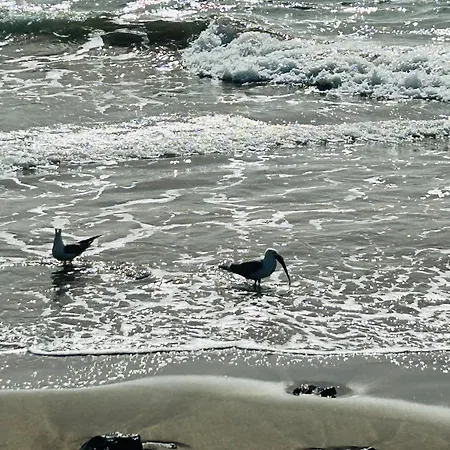 -montorian View Lanzarote- Puerto del Carmen (Lanzarote)