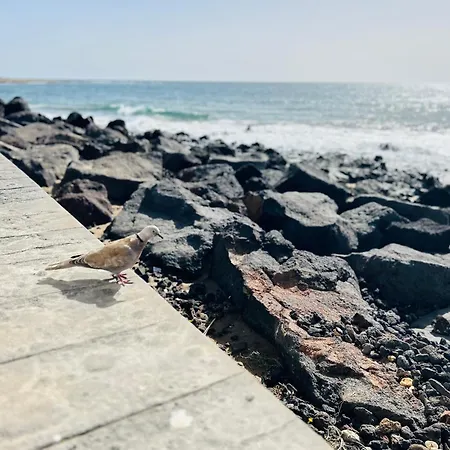 -montorian View Lanzarote- Lägenhet *