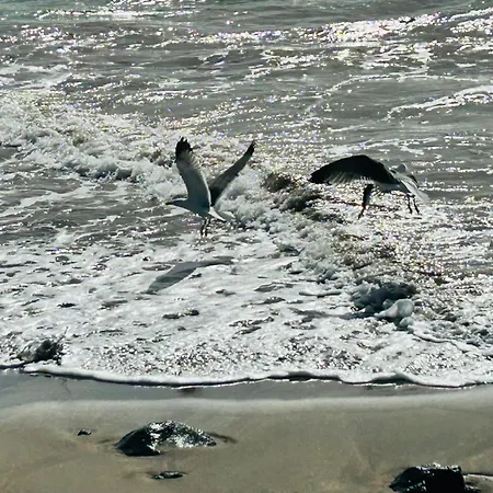 -montorian View Lanzarote- *