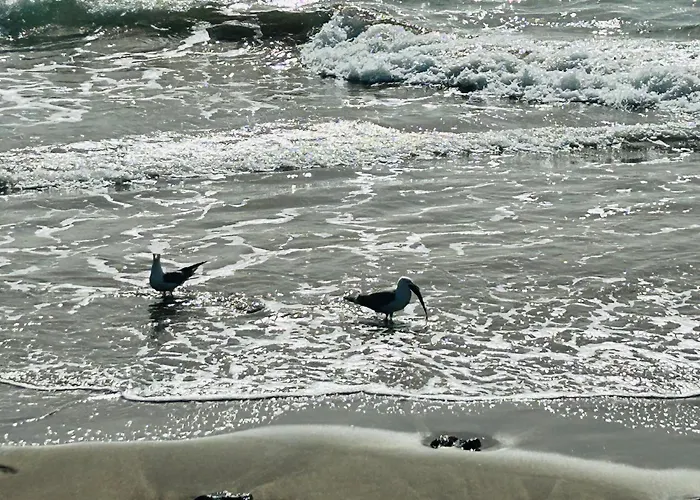 -montorian View Lanzarote- Πουέρτο Ντελ Κάρμεν