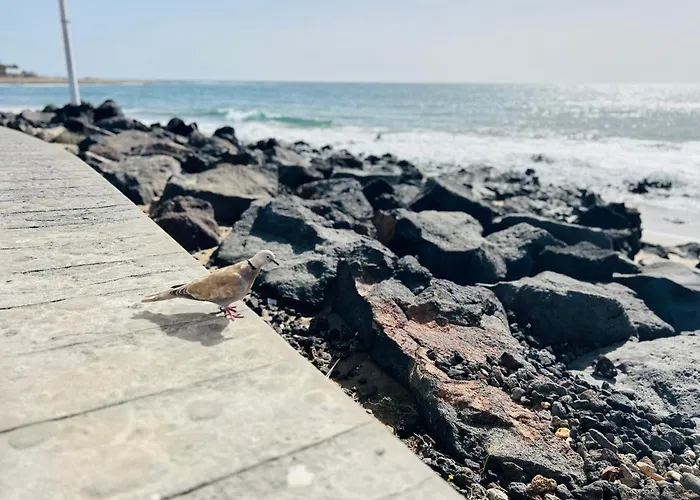 -montorian View Lanzarote- Apartamento *