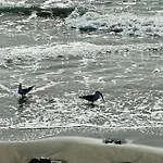 -montorian View Lanzarote- 푸에르토 델 카르멘